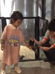 -酷嗒动物文化乐园(cutezoo西溪乐天城店)