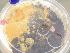 -茶百道(下沙宝龙二期店)