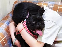 -观音桥步行街