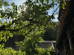 -潭柘寺景区