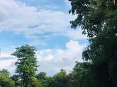 -松山湖南湖湾露营营地