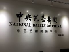 -中央芭蕾舞团·中芭艺蕾(酒仙桥明星校区)