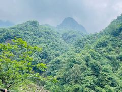 -九峰山