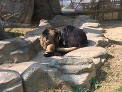 -泉州海丝野生动物世界