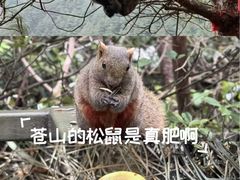-苍山感通索道