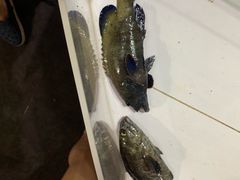 -海盗餐厅