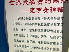 -上海昆虫博物馆