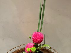 -许家菜(DT51店)