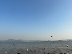 -深圳湾公园(南山区)