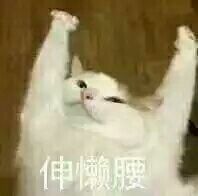 -3U美甲美睫皮肤管理
