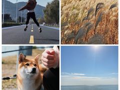 -苏州太湖国家湿地公园