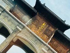-观潮胜地公园