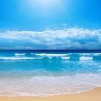 -薇兰专业脱毛连锁机构