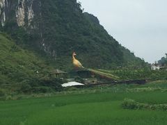 -靖西鹅泉风景区