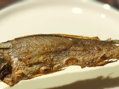 -柿子树炭烤羊腿(金台路店)