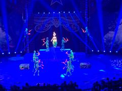 -珠海横琴长隆《卡卡虎奇遇记》