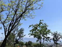 -云禾壹海景庄园餐厅