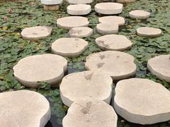 -武清南湖绿博园