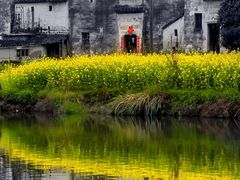 -婺源风景区