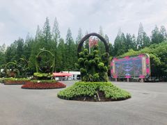 -东平国家森林公园
