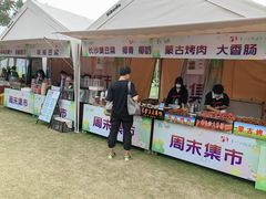 -上海长兴岛郊野公园