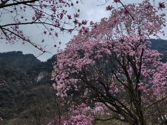 -九皇山景区