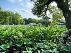 -莲池书院博物馆
