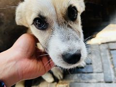 -观桥阁(锦溪店)