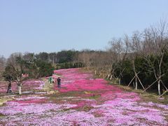 -棒棰岛宾馆景区