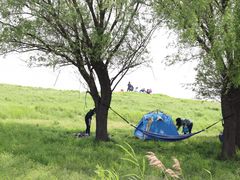 -湖南东洞庭湖国家级自然保护区