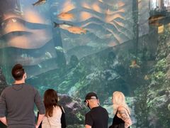-西雅图水族馆