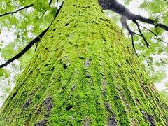 -云峰山自然风景区