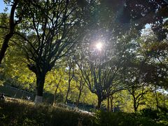 -火炉山森林公园