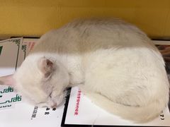 -正南齐北·老街糯米团(洪崖洞店)