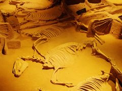 -洛阳周王城天子驾六博物馆