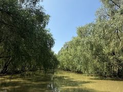 -大湾区中央湿地公园
