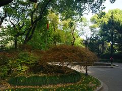 -申粤轩酒楼·三十年粤菜经典(丁香花园店)