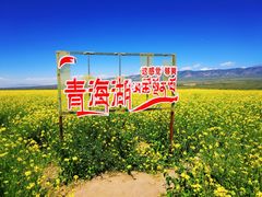 -青海湖国家重点风景名胜区