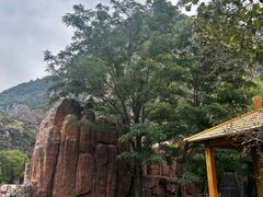 -小五台金河景区