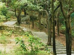 -火炉山森林公园