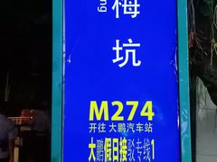 -杨梅坑