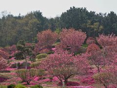 -石岛赤山风景区