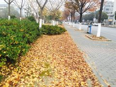 -江南大学(蠡湖校区)