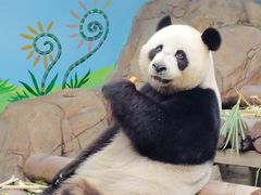 -广州长隆野生动物世界