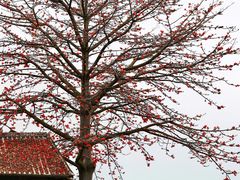 -喜洲吧·江畔老船厂·庭院餐厅(喜临院店)
