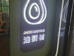 -油梨树AVOCADO TREE(望京店)