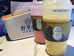 -野萃山·潮汕厚果汁(十亩地店)