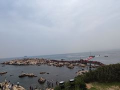 -养马岛旅游度假区