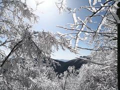 -终南山国家森林公园