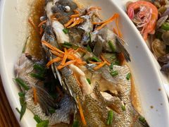 清蒸活包公鱼-阿弟特色海鲜餐厅·大排档(平潭店)